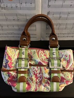 Beautiful Fun Tyler Rodan Pink Green Purple Women’s Spring Summer Handbag Tote